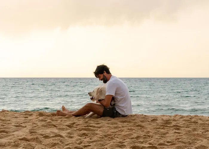 Villa Vacation I El Calvario Villa, Cinema, Pool, Andalusian Garden, Top Location In Old Town *